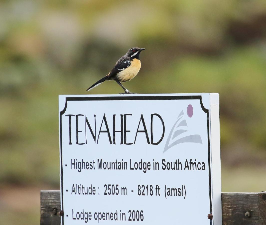 Tenahead Lodge & Spa Rhodes Екстериор снимка